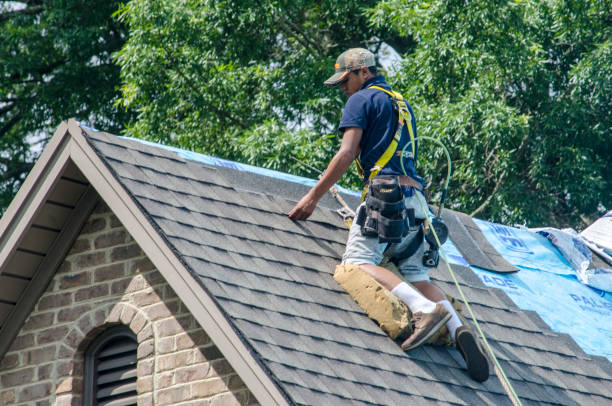 Professional Roofing Contractor in Three Lakes, WA